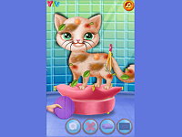 Little Elsa Save Stray Cat