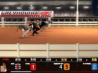 Greyhound Racing