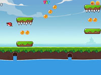 Mildly Infuriated Bird